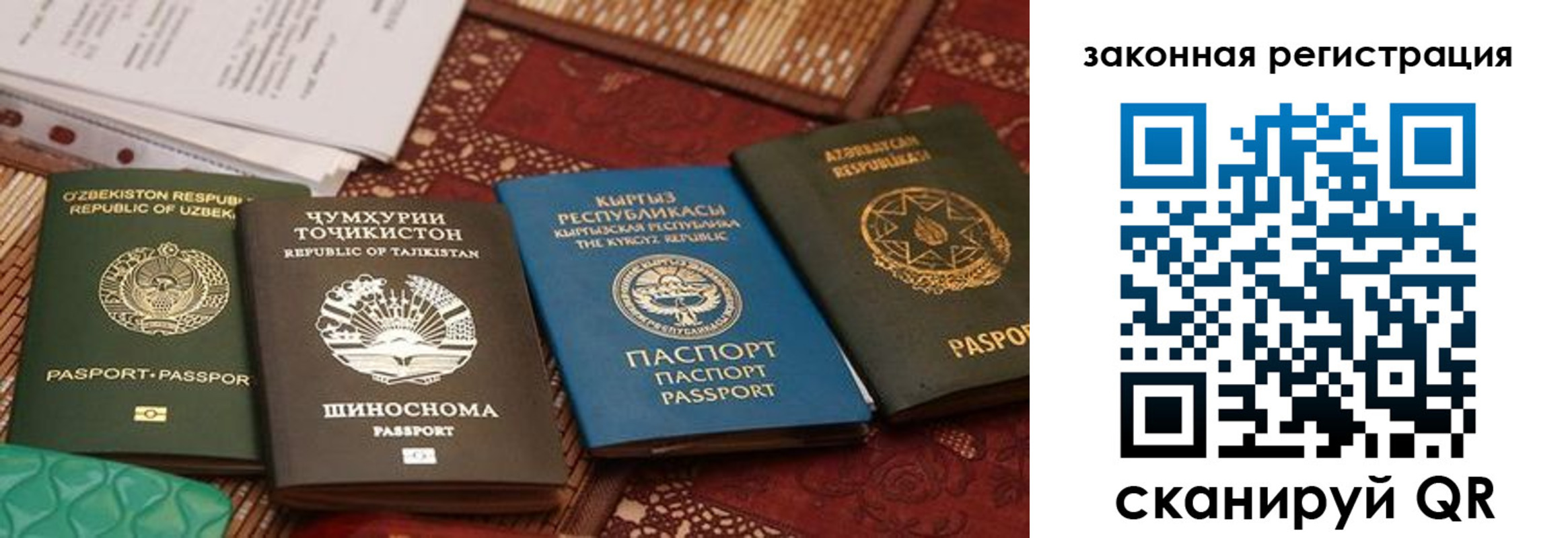 пропишу в квартире в Борисоглебске